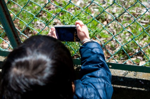 子どもが写真を撮っているイメージ