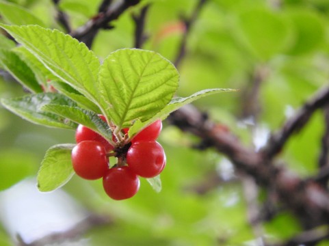 未来にのび行くイメージ