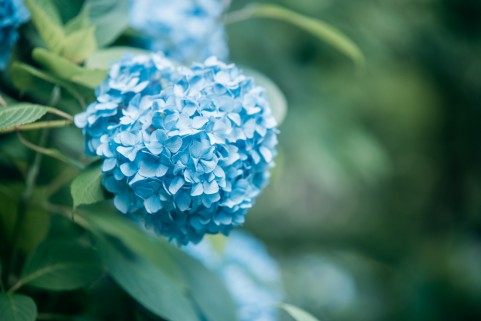 雨に打たれてさらに美しさを放つようにご支援するイメージ